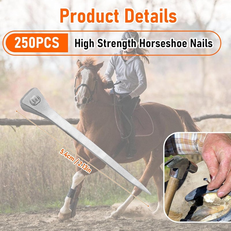 VINGVO 250pcs Horse Shoes, 2.1 Inches E6 Horseshoes Nails, Stainless Steel Horse Shoeing Tools, 2.1" Hoof Horseshoe Tools, Securing Firmly Accessory for Horses Training Equestrian Sports, Horse Race (250) - Image 3